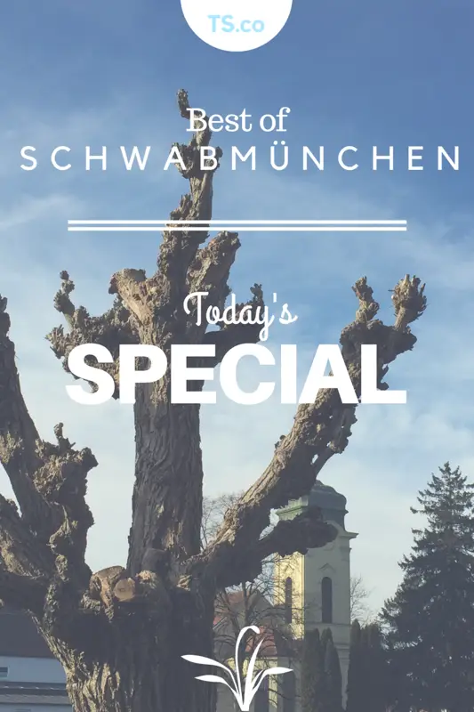 Mehr über den Artikel erfahren Best of: Schwabmünchen