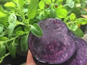 Mehr über den Artikel erfahren Rund, bunt & gesund: Kartofflige Resteverwertung