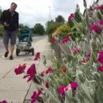 ostsee-kinder_darss-kinder-tipps