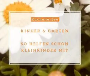 Mehr über den Artikel erfahren Kinder & Garten: So helfen schon Kleinkinder mit