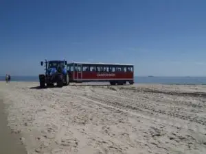 Mehr über den Artikel erfahren Krabben, Kunst & Küste – Kinder, ab nach Skagen