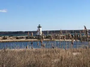 Mehr über den Artikel erfahren Reisebericht Marthas Vineyard – Trauminsel vor Cape Cod