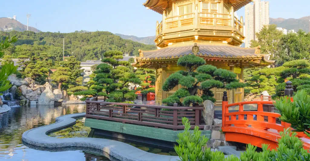 hongkong-kinder-natur