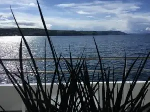 Mehr über den Artikel erfahren Urlaub auf dem Bauernhof mit Kindern am Bodensee