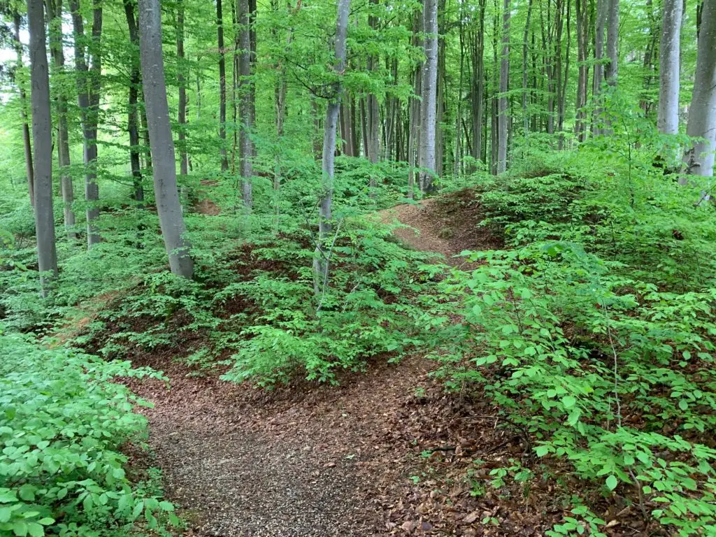 augsburg-mit-kindern_ausflugstipp-augsburg_natur-augsburg-tipp