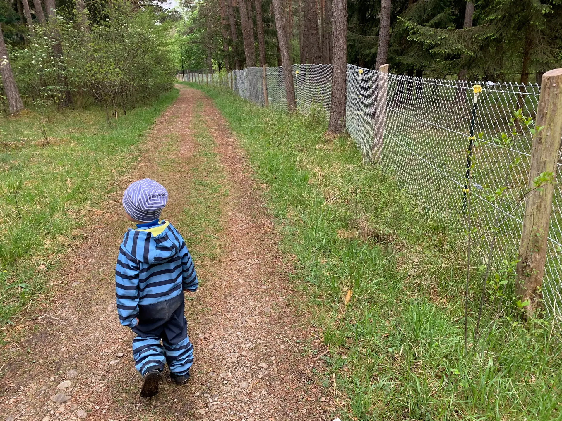 Mehr über den Artikel erfahren 19 grüne Schätze für Familien mit Kindern in und um Augsburg – Natur entdecken mit Kindern