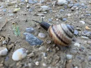 augsburg-mit-kindern_ausflugstipp-augsburg_natur-augsburg-tipp
