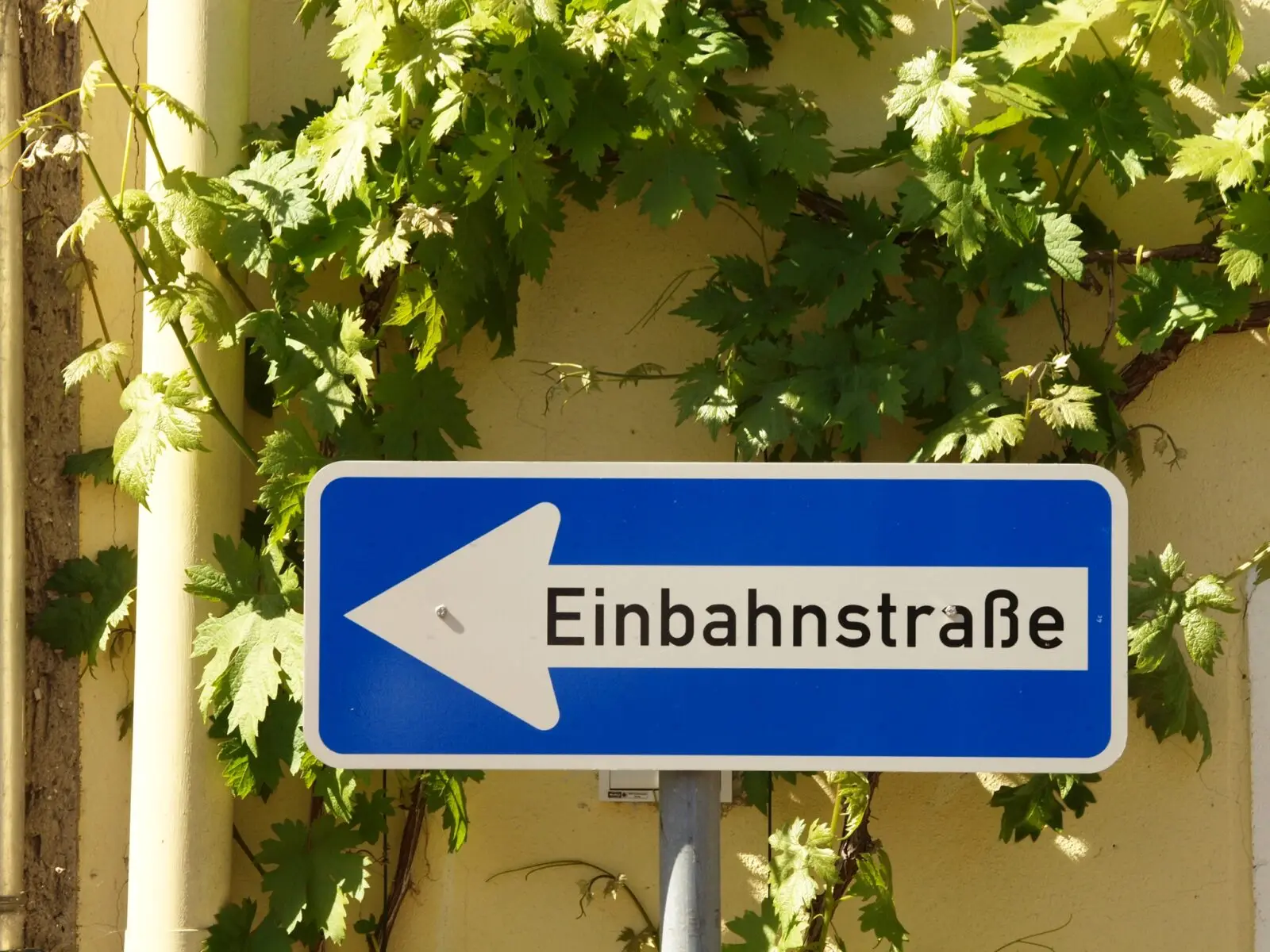 Mehr über den Artikel erfahren Familiengedöns in Krisenzeiten – Solidarität ist keine Einbahnstraße