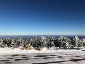 wohnmobil-harz-kinder_wohnmobil-deutschland-familie