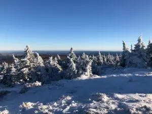 wohnmobil-harz-kinder_wohnmobil-deutschland-familie
