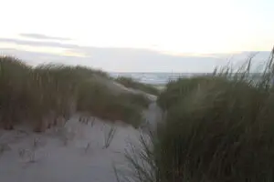 ostfriesland-wohnmobil-kinder