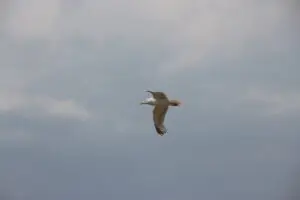 ostfriesland-wohnmobil-kinder