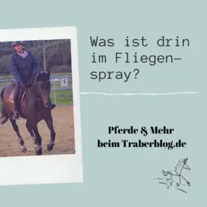 sicherheit-kinder-reiten