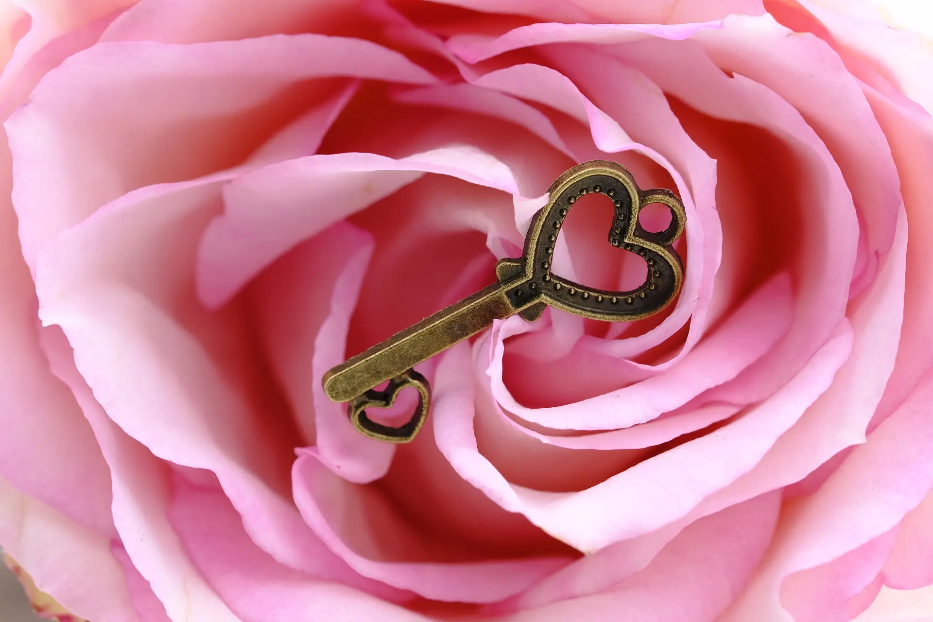 Mehr über den Artikel erfahren Vibrator statt Blumen