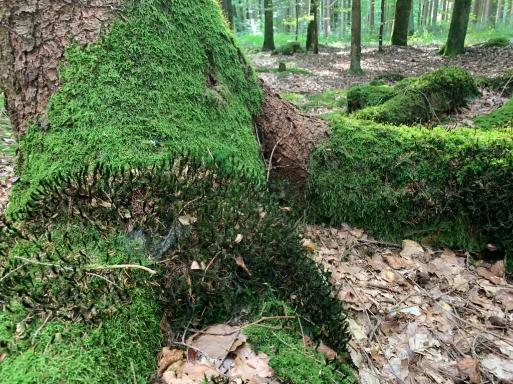 wohnmobil-herbstferien_herbst-reisetipps-familie