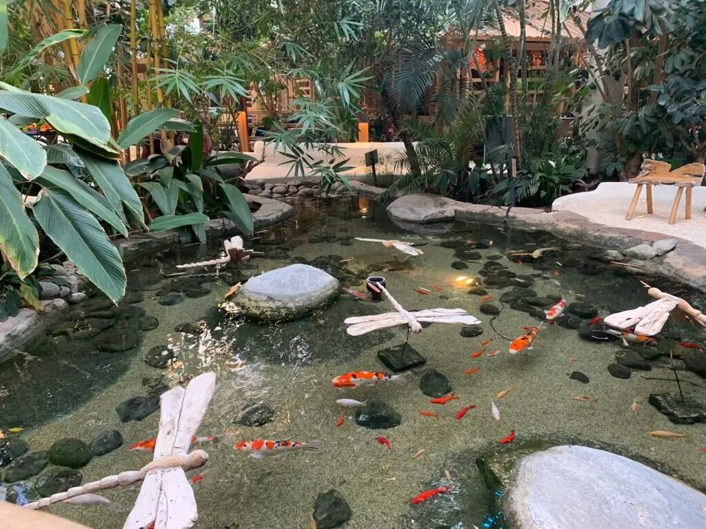 centerparcs-sauberkeit