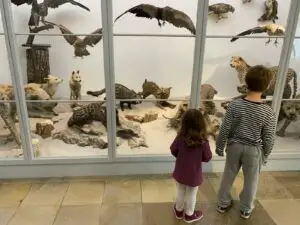 missionsmuseum-eresing_ausflug-mit-kindern-augsburg