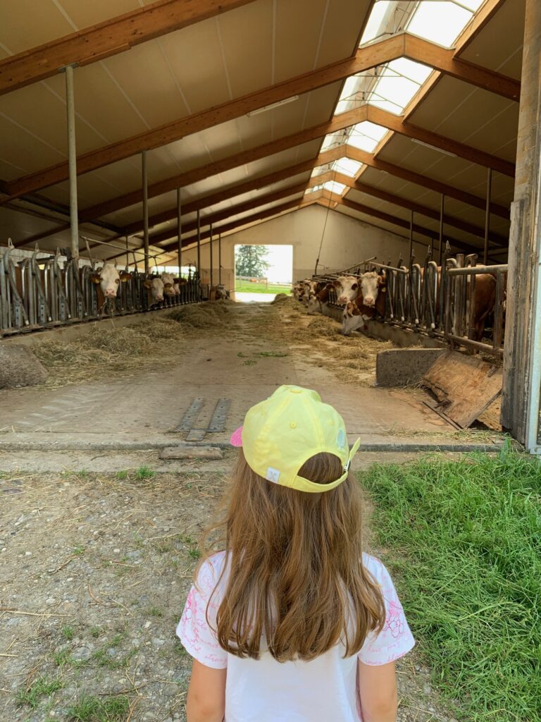 hartenthaler-hof-allgäu-ausflug