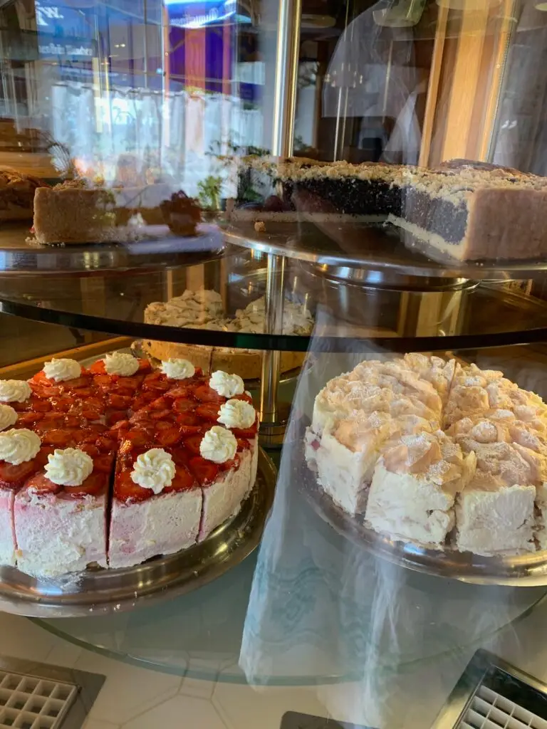 ausflug-augsburg-kinder-hunde-allgäu