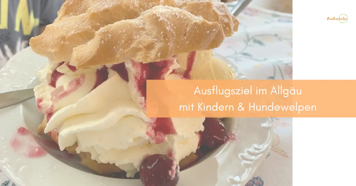 Mehr über den Artikel erfahren Allgäu: Ausflugidee mit Kindern & Hund
