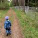 augsburg-kinder-natur_ausflug-tipp-augsburg_augsburg-mit-kindern